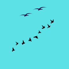 A vector set of bird silhouettes in flight, capturing grace and freedom—perfect for tattoos or nature-themed designs.