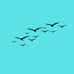 A vector set of flying bird silhouettes on a white background, capturing freedom and grace—perfect for tattoos or nature art.
