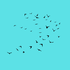 A vector set of flying bird silhouettes on a white background, capturing freedom and grace—perfect for tattoos or nature art.