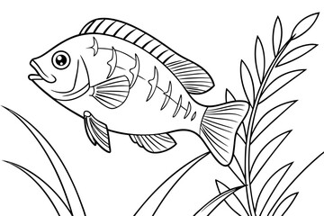 coloring page line art the bluegill black vector