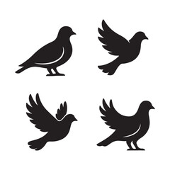 set of pigeon silhouettes