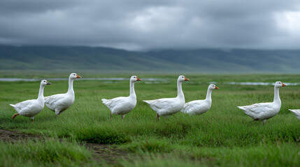 Lush Green Meadow Escape: Sun-Kissed Grassland Panorama, Vibrant Nature Scene, Peaceful Countryside Vista, Breathtaking Scenery, Serene Outdoor Landscape
