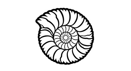 Obraz premium Stylized Nautilus Shell Illustration Depicting Growth and Natural Spiral Formation