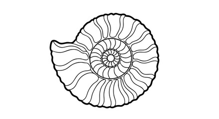 Elegant ammonite fossil illustration showcasing intricate geometric spiral pattern formations and ancient marine life heritage