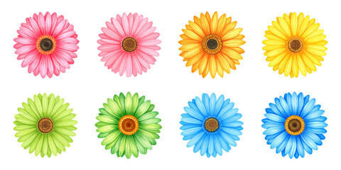 Watercolor Clipart of Pink, Yellow, Green, Blue Flowers of Gerbera, Top View. AI generated. Set of Drawn Isolated Elements.