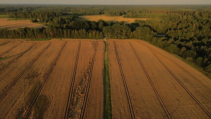 Drone Shot of Forestry Equipment, Harvester and Forwarder Agroculture
