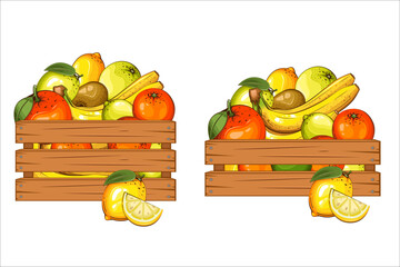 Wooden Boxes with fruits. Wooden crates with fruits. Fruits in wooden boxes illustration. Farm, storage, delivery. Organic market. Harvest and agriculture concept. Farmers market. Organic packaging