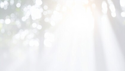 白色基調の背景画像　木々の間から溢れる木漏れ日のイメージ	