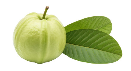 Isolated Fresh Guava with Leaves