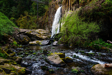 small waterfall in the forest