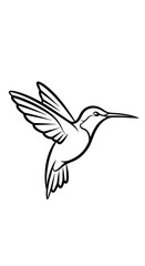 Obraz premium A black and white line drawing of a hummingbird in flight with detailed wing feather outlines