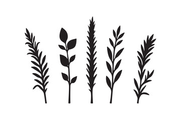 Fototapeta premium Five black silhouette botanical sprigs and branches on white background