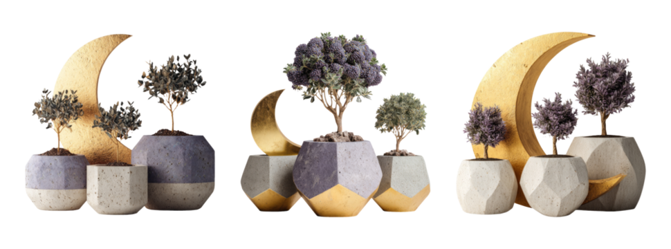 Decorative Plant Set on Transparent Background with Geometric Pots