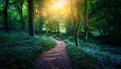 glowing path through enchanted dark green forest