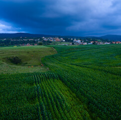 Fototapeta premium An aerial drone view of cornfields and the neo-Gothic Church of San Pedro Ad enlace in the town of Cóbreces, in the municipality of Alfoz de Loredo. Cóbreces, Cantabria, Spain, Europe
