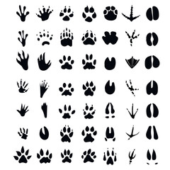 Fototapeta premium Animal tracks paw print icon set 