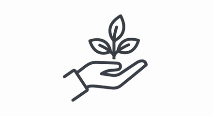 Hand Gently Holding a Small Sprout with Three Leaves