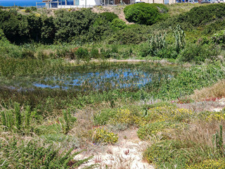 retention basin in flood protection