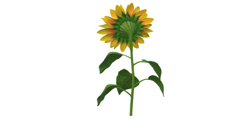 Beautiful 3D Render Sunflower isolated on a Transparent Background