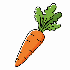 Fresh orange carrot with green leaves on white background  