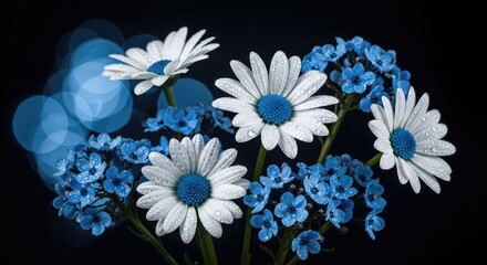 A delicate bouquet of white daisies and small blue flowers with water droplets on a dark background