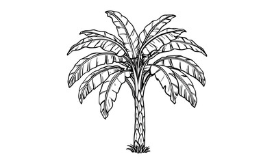 Obraz premium Banana tree t shirt design silhouette and vector line art Tropical Banana Tree Silhouette Perfect for Tees & Prints