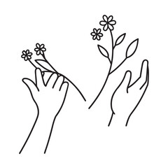 Two Hands Holding Flowers Silhouette Sketch