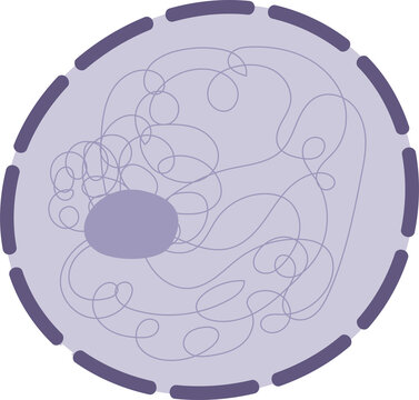 illustration of nucleus