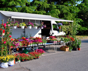 flower stall at a market in Arquata Scrivia, Piedmont, Italy