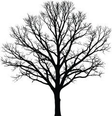 A Bare Tree with a Kite Stuck in its Branches, Symbolizing Childhood, Summer, and Unforeseen Obstacles Against a White Background.