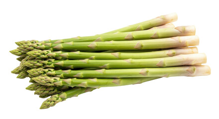 Isolated Fresh Asparagus Spears