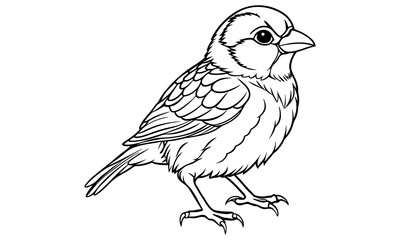 Sparrow t shirt design silhouette and vector line art Nature-Themed Sparrow Graphic for Outdoor and Relaxed Styles