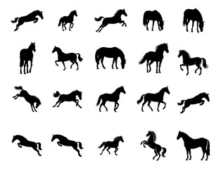 horse clip art, silhouette of a horse running, collection of horse silhouettes, A set of Haflinger horse vector silhouette designs. Simple collection. Isolated bundle on a white background, horse 