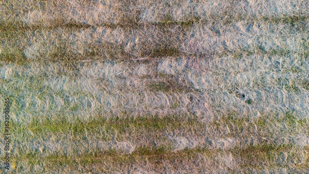 Poster close-up view of textured fabric with soft fibers and subtle color gradients. ideal for backgrounds,