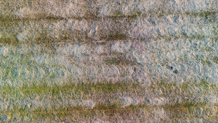 Close-up view of textured fabric with soft fibers and subtle color gradients. Ideal for backgrounds, textile design, or artistic projects requiring intricate details.