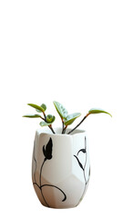 Plant pottery black white art porcelain decoration vertical