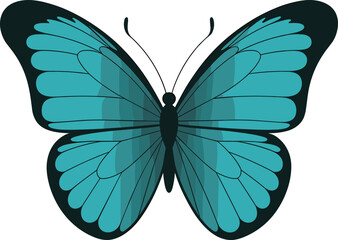 Teal butterfly vector, elegant wing design, black outline insect art, vibrant gradient creature, nature-inspired illustration, decorative wildlife drawing