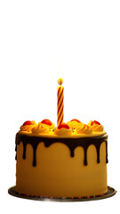 Birthday cake with candle vertical