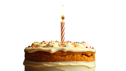 Birthday cake with candle