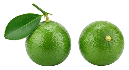 Isolated Lime