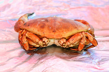 Cooked crab displayed on market stall with ice and fresh seafood