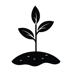 sprouting seedling vector on white background