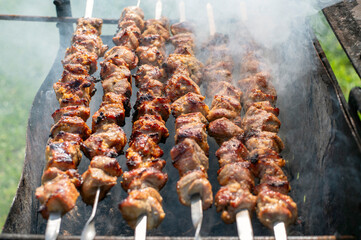 Delicious Grilled Meat Skewers Cooking Outdoors on a Smoky Barbecue Grill