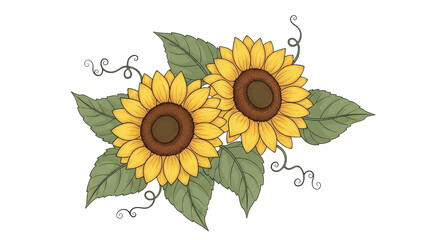 Isolated Two Sunflowers Bouquet