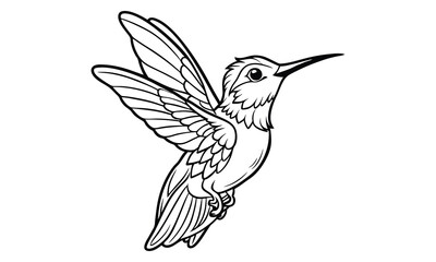 Hummingbird t shirt design silhouette and vector line art Vibrant Hummingbird Graphic for Casual and Eco-Friendly Wear