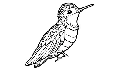 Hummingbird t shirt design silhouette and vector line art Vibrant Hummingbird Graphic for Casual and Eco-Friendly Wear