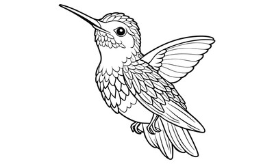 Hummingbird t shirt design silhouette and vector line art Vibrant Hummingbird Graphic for Casual and Eco-Friendly Wear