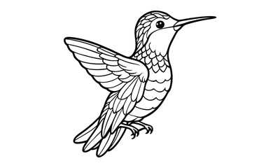 Hummingbird t shirt design silhouette and vector line art Vibrant Hummingbird Graphic for Casual and Eco-Friendly Wear