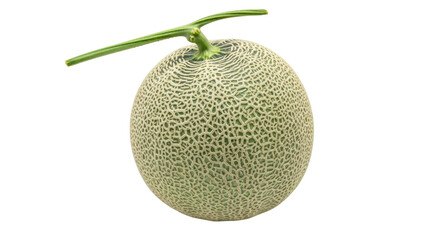 Isolated cantaloupe