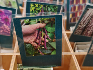 Seeds protected by outer covering
